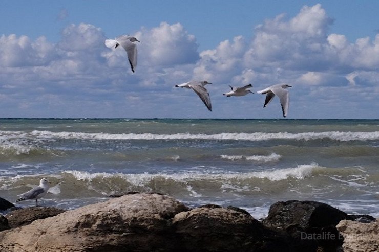 Xəzər dənizi quruyacaq? - ALİMLƏRDƏN PROQNOZ