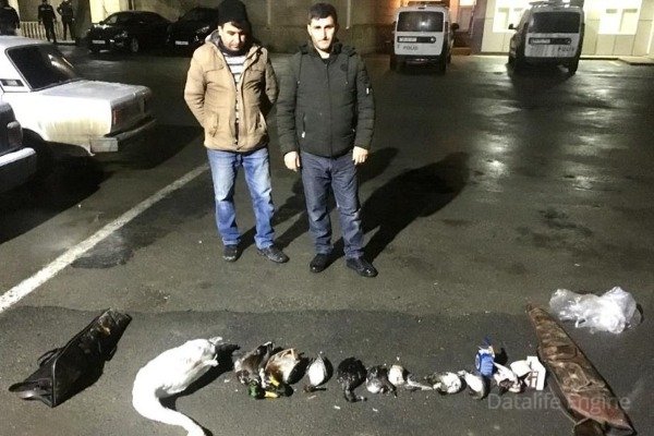 Şabranda qanunsuz ov edən şəxslər saxlanılıb
