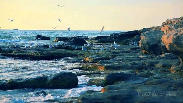 ETSN Xəzərin səviyyəsinin aşağı düşəcəyi barədə proqnozlara aydınlıq gətirib