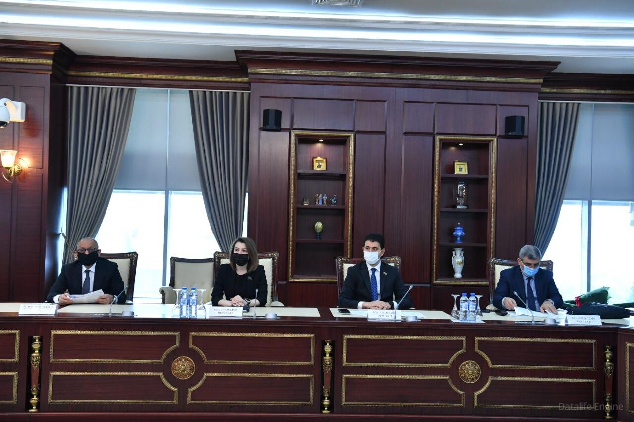 Milli Məclisin İnsan hüquqları komitəsində Ombudsmanın məruzəsi dinlənilib