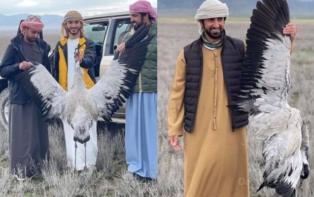 Ərəb turistlər 4000 manat cərimələndi, qoruqda hərəkətləri qadağan edildi - Xidmət rəisi