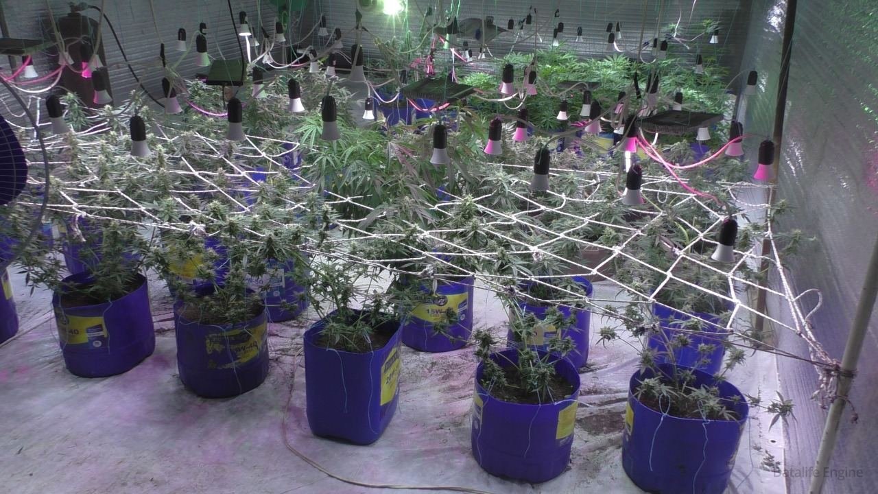 Balakəndə narkotik emal edilən laboratoriya aşkarlanıb