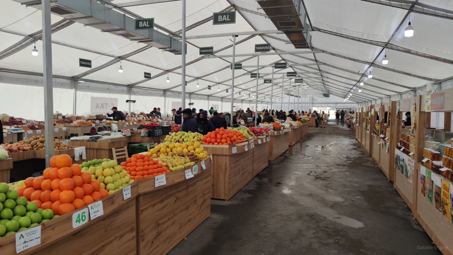 Azərbaycanda kənd təsərrüfatı məhsullarının istehsalı artıb