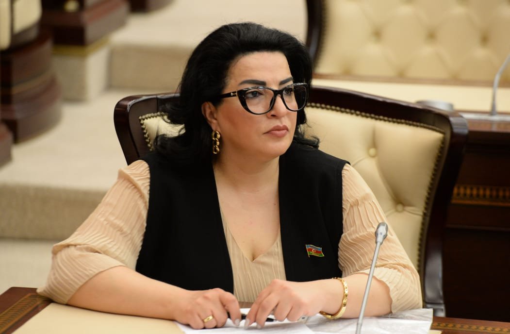 “Qələbəmiz Jirinovskini ciddi narahat edir” 