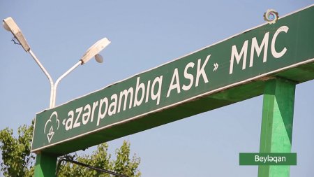 “Məhsulun qəbulunda ayrı-seçkiliyə yol verilir” - QALMAQAL