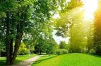 Bakıda gecə 26-28° isti, gündüz 36-38° isti olacaq - Belə deyirlər...