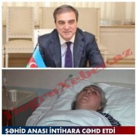 Şəhid anasının intihara cəhd etməsində səbəbkar icra başçısıdır? ...