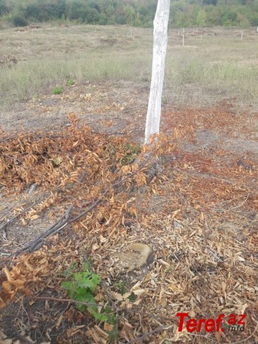 Keçmiş rəis ittihamlara cavab verdi - FOTO