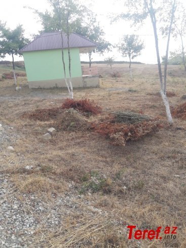 Keçmiş rəis ittihamlara cavab verdi - FOTO