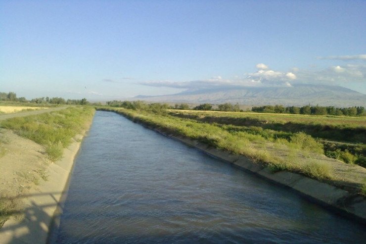 Arxa düşdü, köməksiz vəziyyətdə qalaraq öldü -AZƏRBAYCANDA