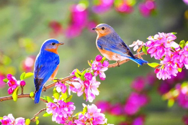 Bayram günü hava necə olacaq? - PROQNOZ