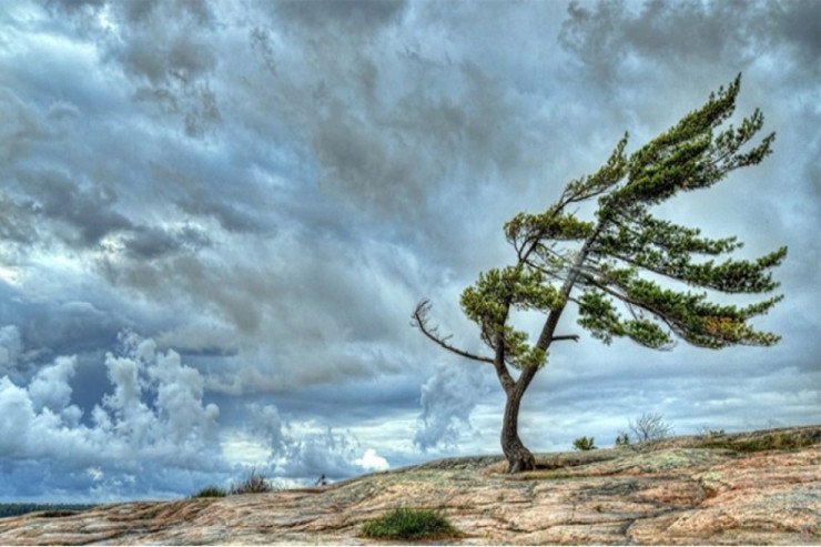 Bakıda güclü külək əsəcək - HAVA XƏBƏRDARLIĞI
