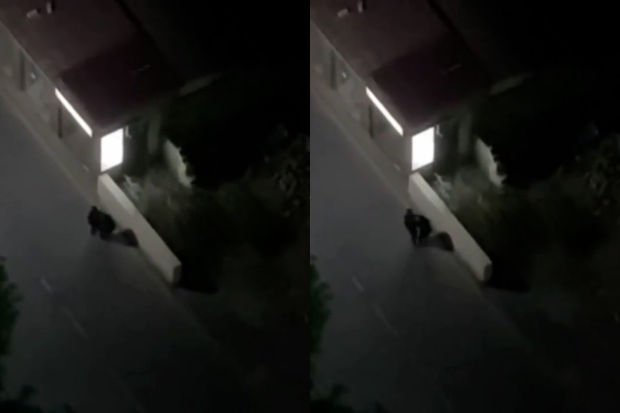 Azərbaycanda gecə küçədə döyülən qadının fəryadı: “Vurma, başım partladı”