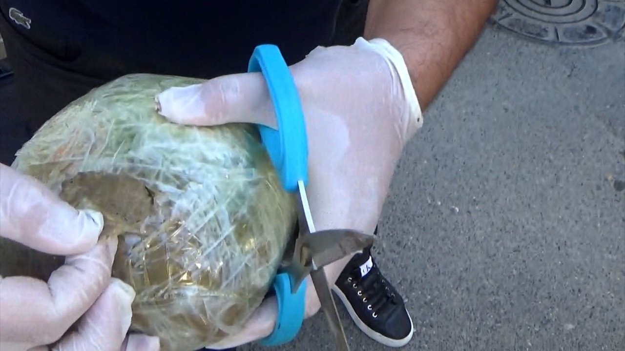 Biləcəridə narkotik satan 44 nəfər TUTULDU