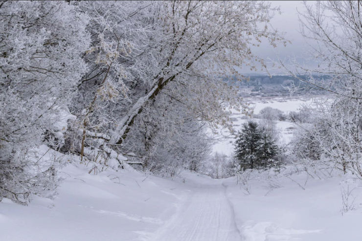 Sabah güclü qar yağacaq - HAVA PROQNOZU