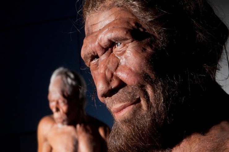 Neandertal insanın genlərini daşıyırsınız? - ALTI ƏLAMƏT Neandertal insanın genlərini daşıyırsınız? - ALTI ƏLAMƏT